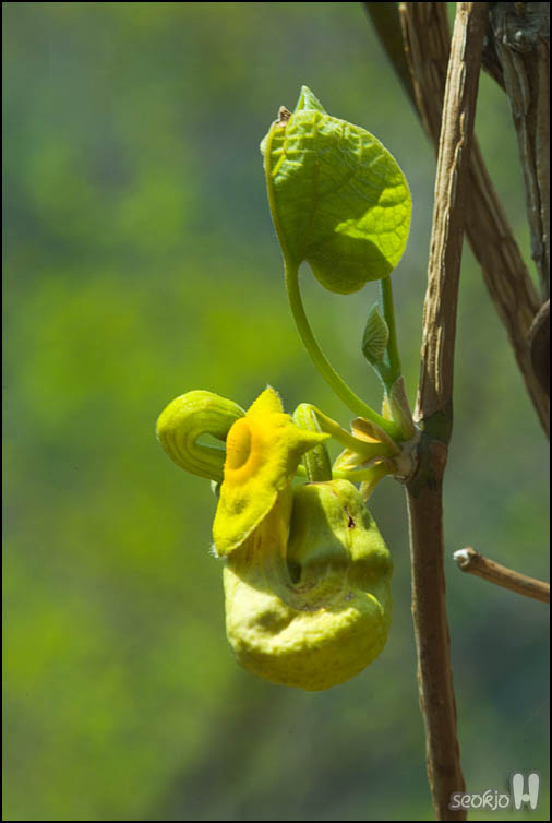 DSCF6586.jpg
