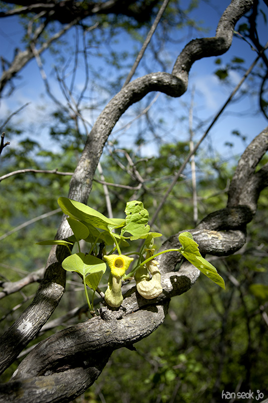 HSJ_4305.jpg