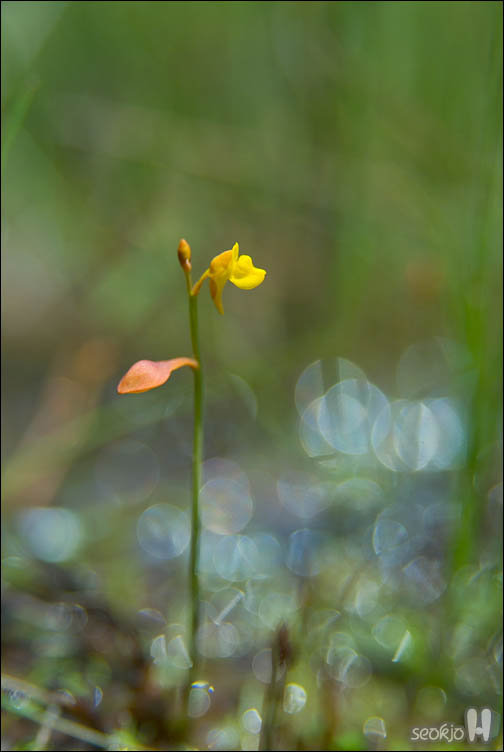 DSCF9745.jpg