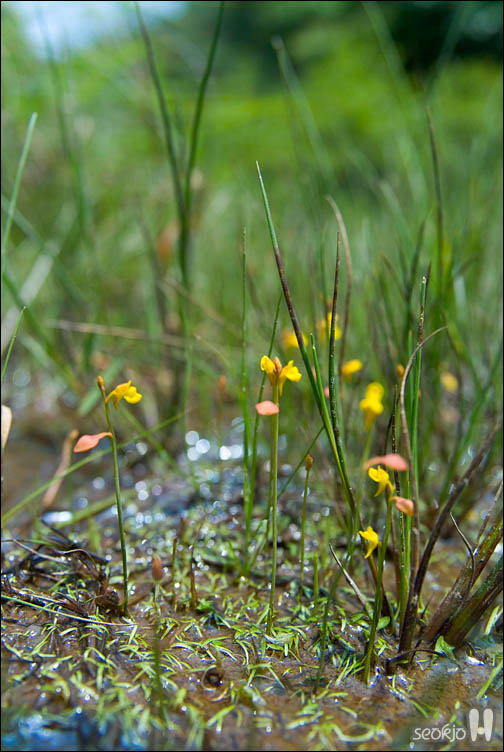 DSCF9746.jpg