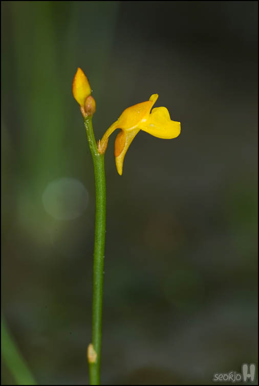 DSCF2214.jpg
