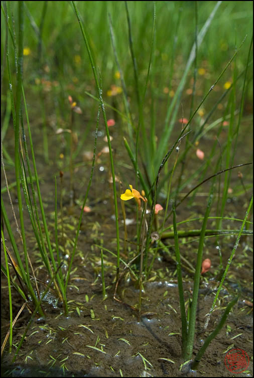 DSCF2769.jpg