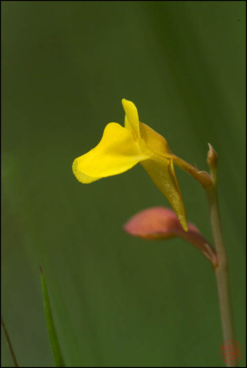 DSCF2773.jpg