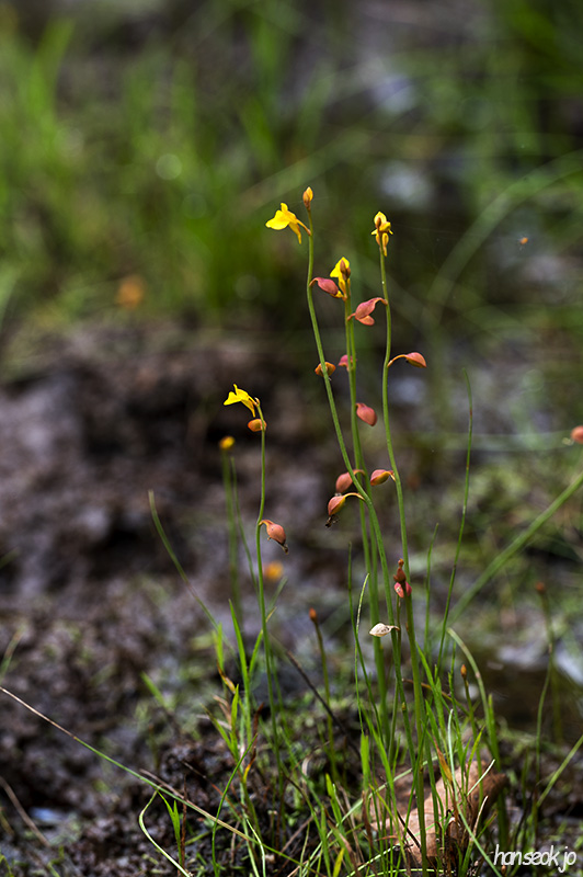 DSC_1311.jpg