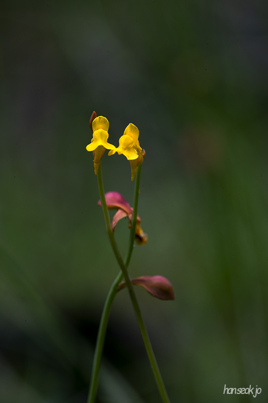 DSC_1319.jpg