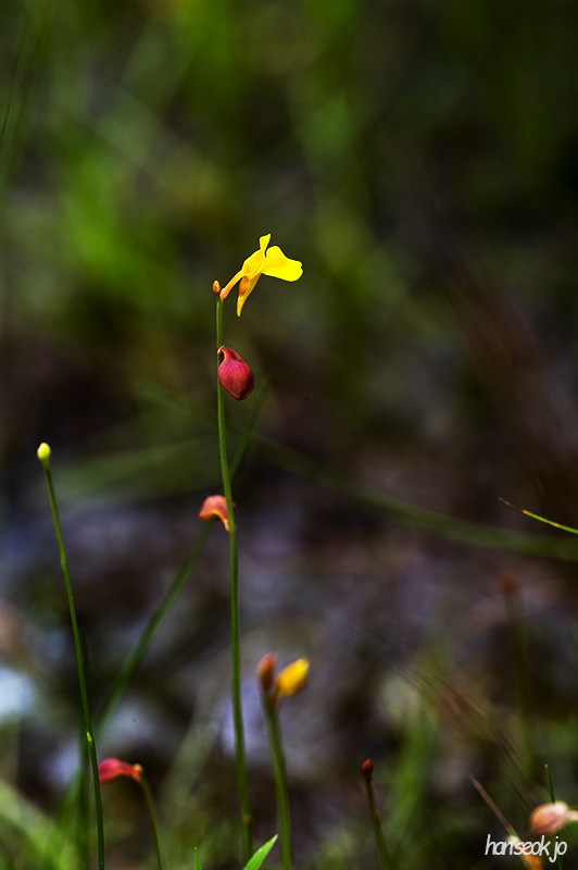 DSC_1313.jpg
