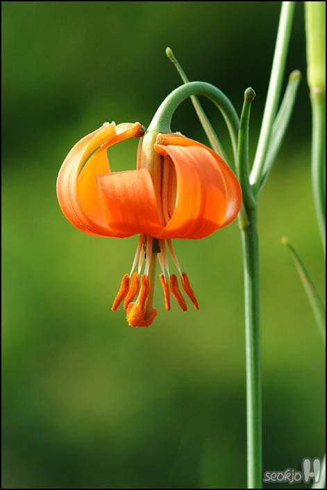 DSCF1055.jpg