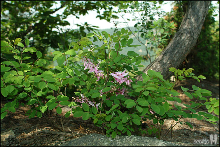 DSCF7012.jpg