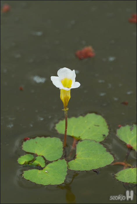 DSCF0617.jpg