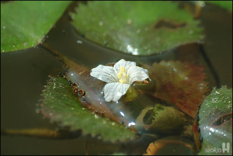 DSCF1239.jpg