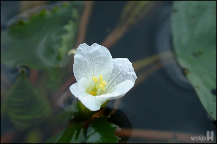 DSCN1641.jpg