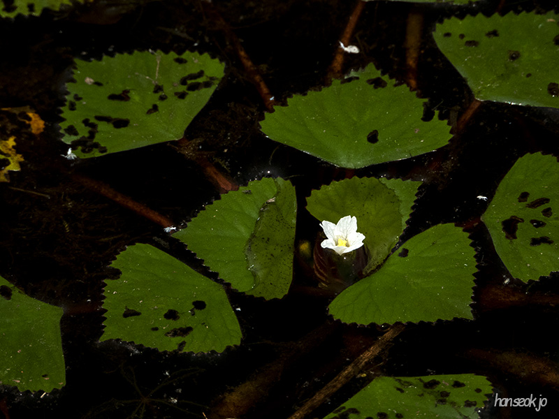DSCN1188.jpg