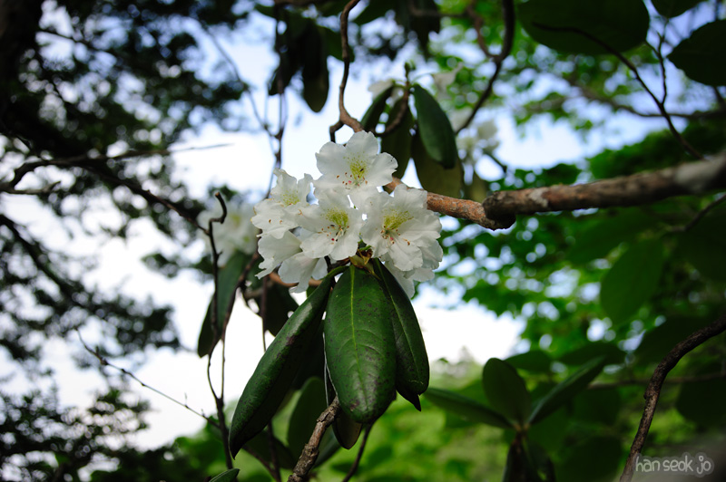 HSJ_0417.jpg