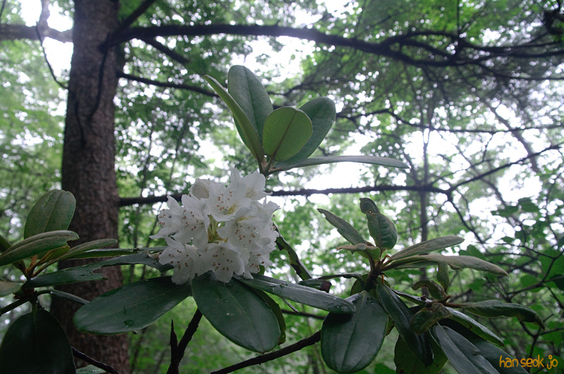 DSC_7125.jpg