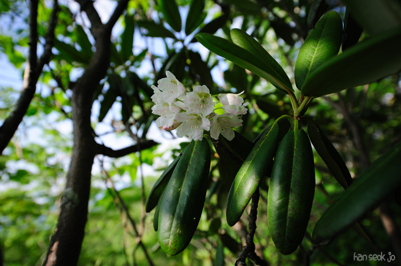 HSJ_0428.jpg