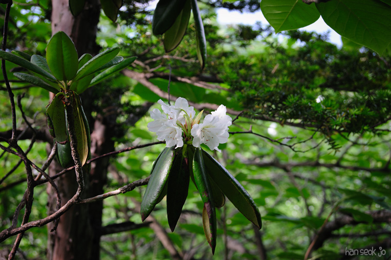 HSJ_0413.jpg