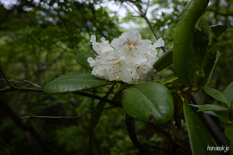 HAN_0480.jpg
