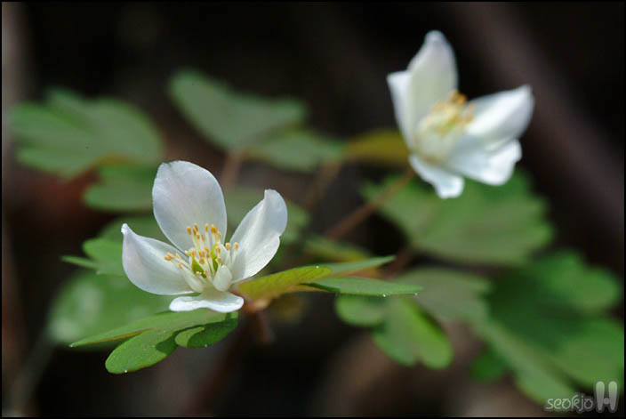 DSCF6159.jpg