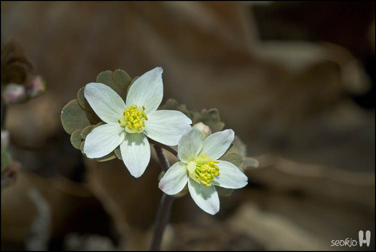 DSCF7111.jpg