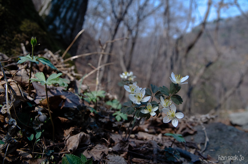 DSC_0914.jpg