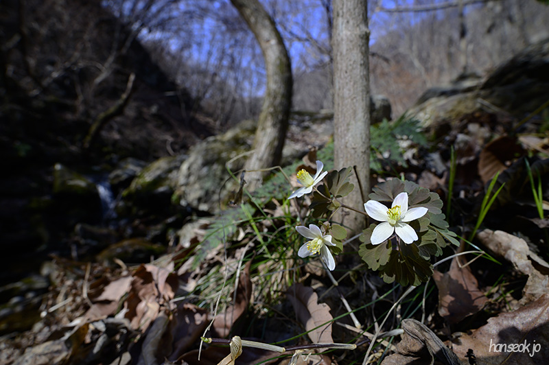 DSC_1833.jpg