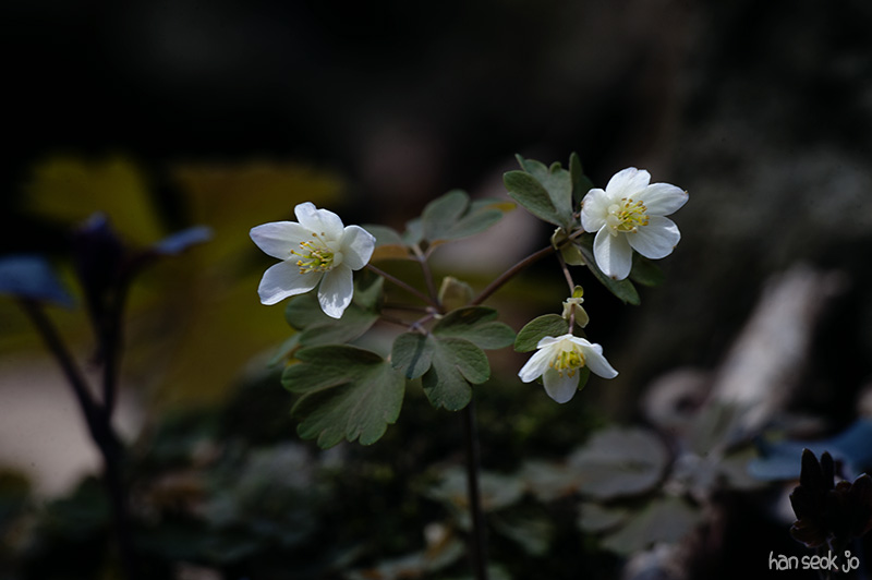 HSJ_5566.jpg
