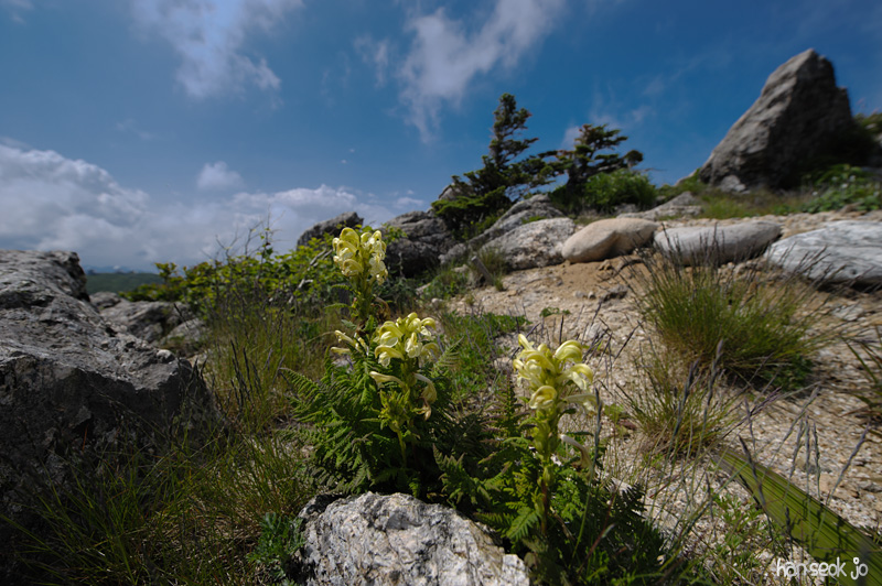 HSJ_3844.jpg