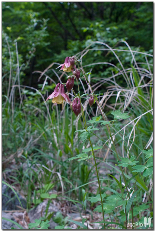 DSCF8519.jpg