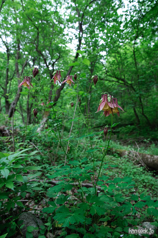 DSC_6371.jpg