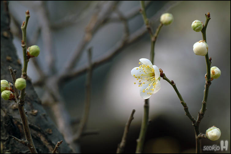 DSCF6507.jpg
