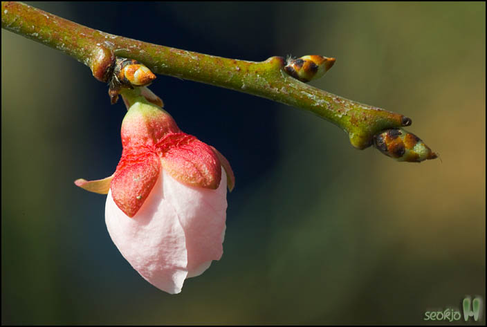 DSCF4924.jpg