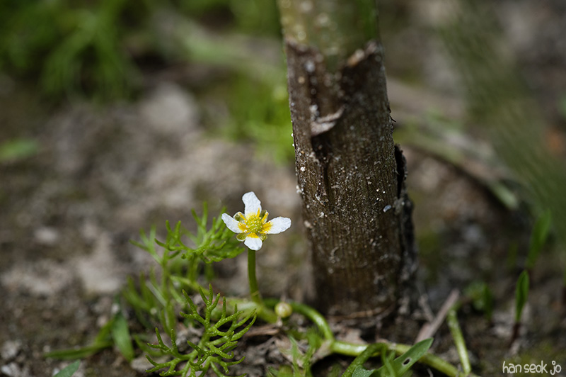 HSJ_5783.jpg