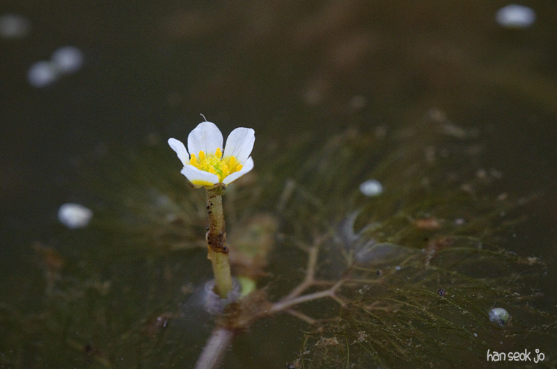 DSC_1440.jpg