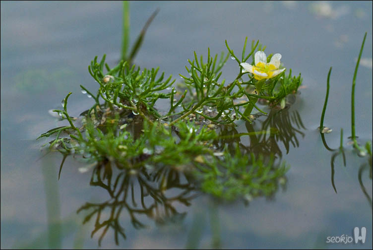 DSCF8658.jpg