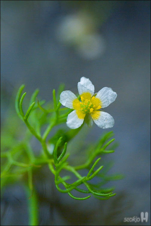 DSCF8662.jpg