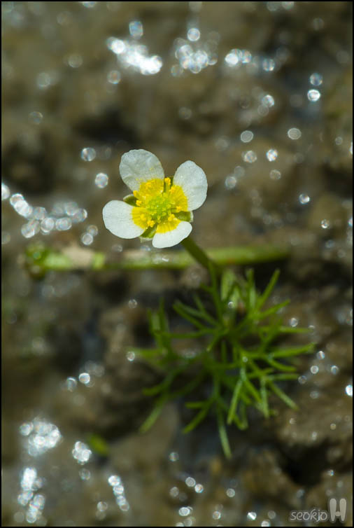 DSCF1497.jpg