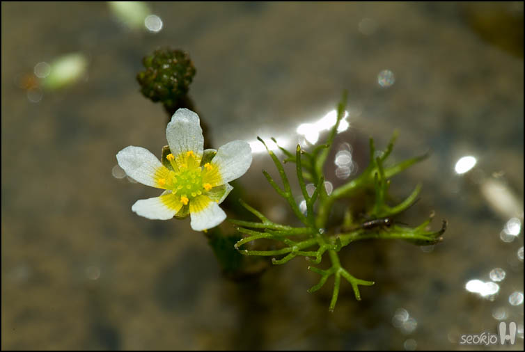 DSCF1498.jpg