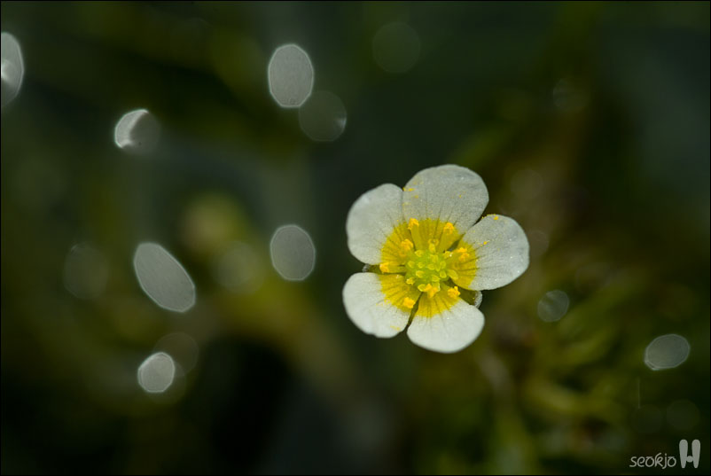 DSCF7846.jpg