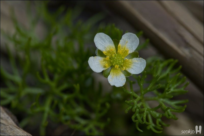 DSCF7851.jpg