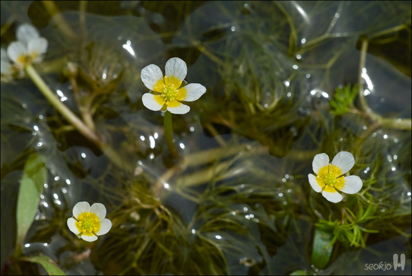 DSCF7849.jpg