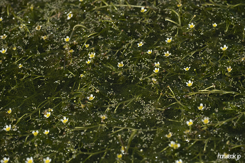 DSC_5124.jpg