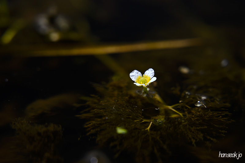 DSC_2400.jpg
