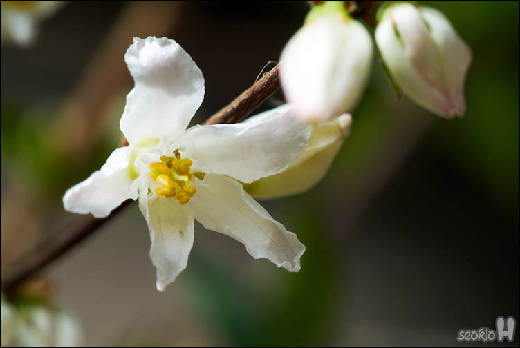DSCF7266.jpg