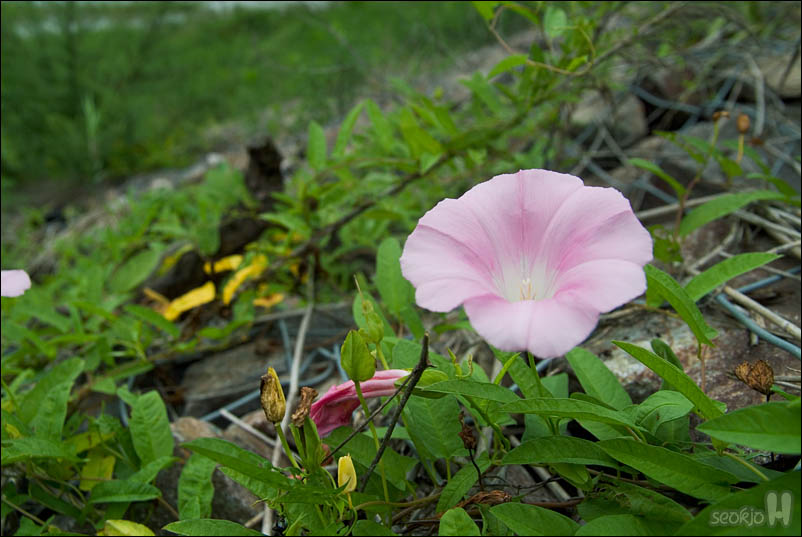 DSCF4470.jpg