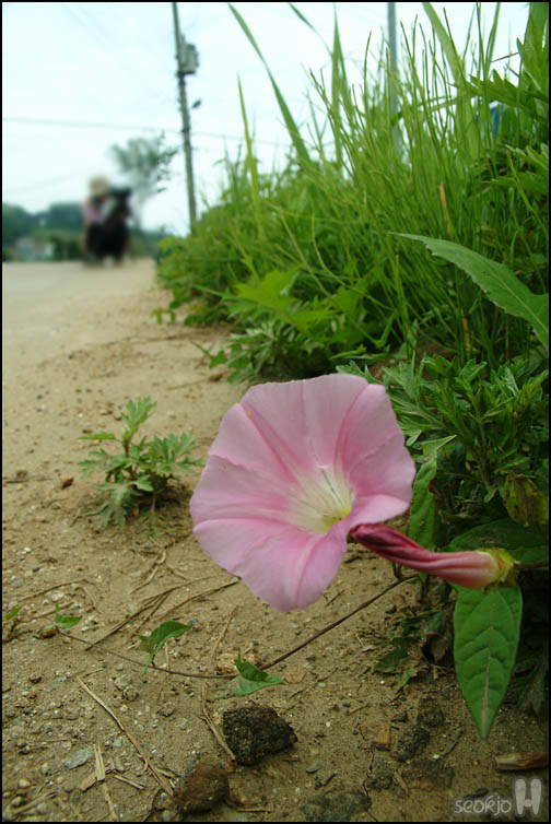 DSCF1522.jpg