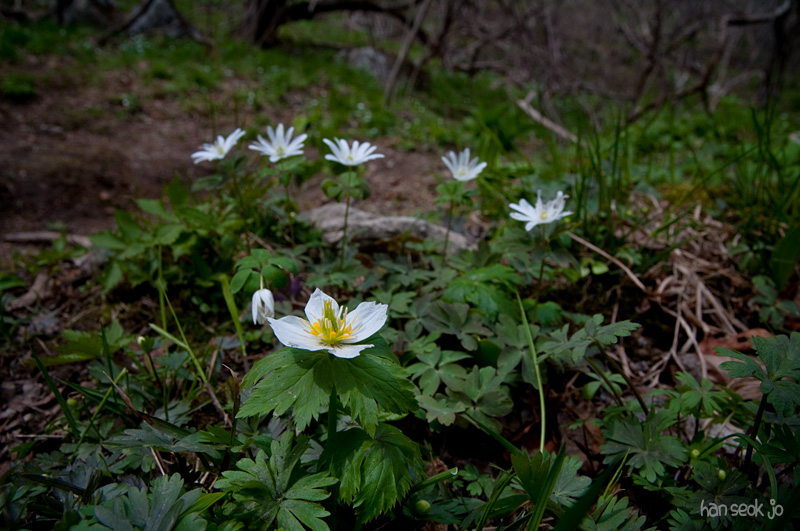 DSC_1137.jpg