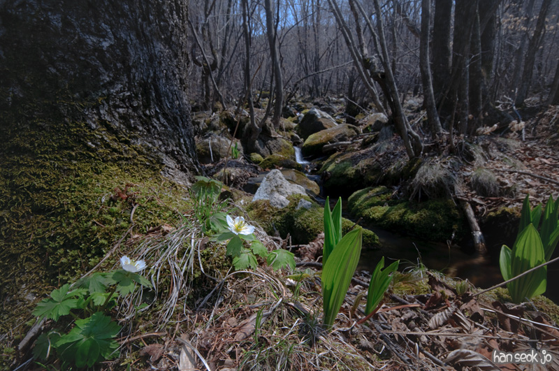 DSC_5640.jpg