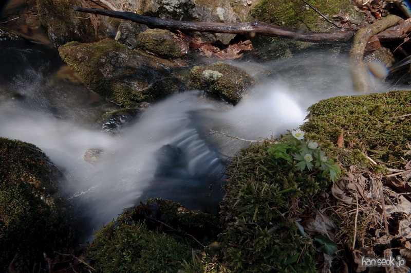 DSC_5660.jpg