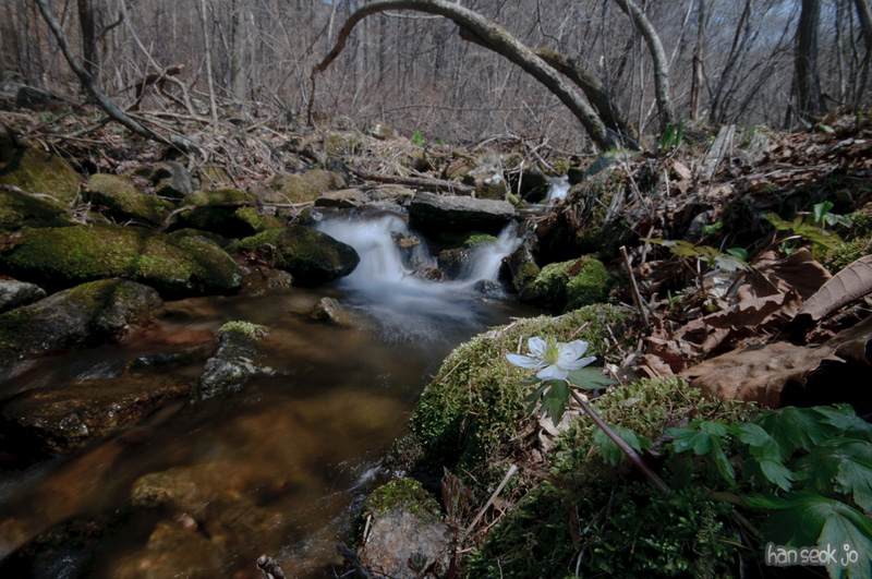 DSC_5664.jpg