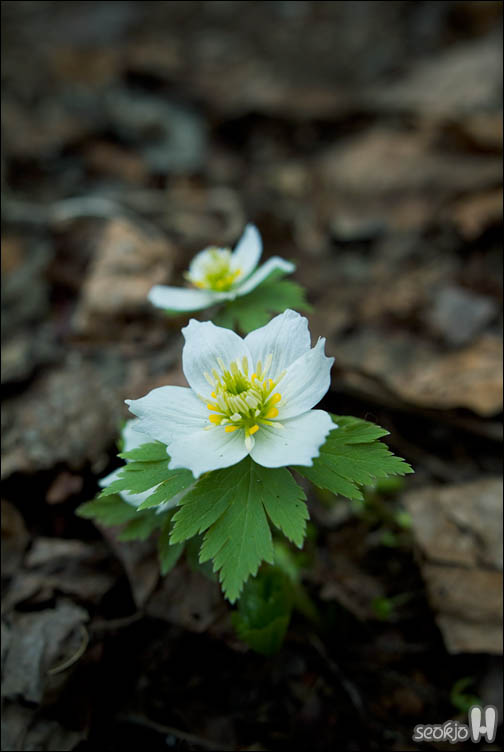 DSCF7133.jpg